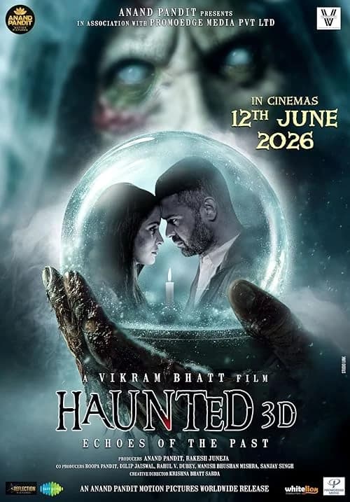 Haunted 3D: Echoes of the Past film posteri